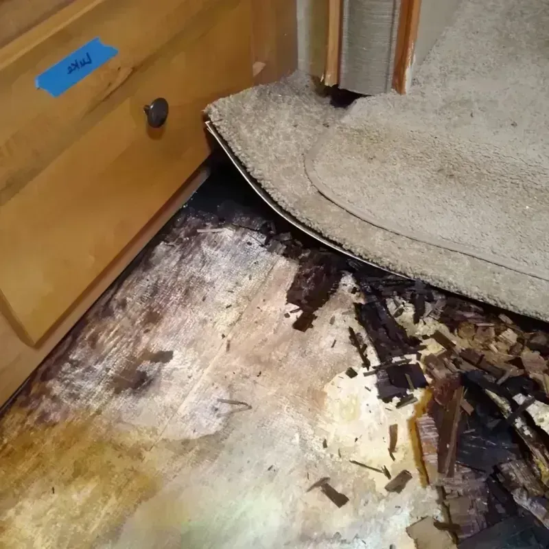 Best Wood Floor Water Damage Service in Freeland, WA